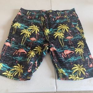 Fun and Festive Mens Shorts! Size 31